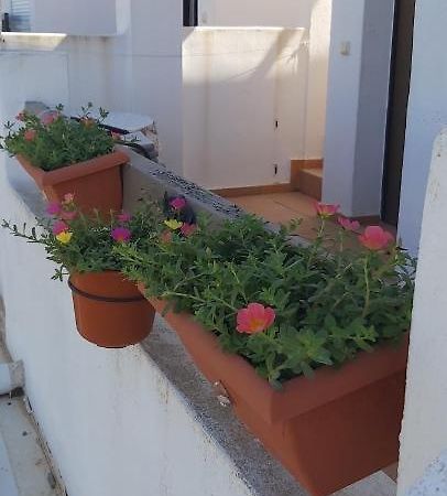 Condado De Alhama, Naranjos 8 Leilighet Alhama de Murcia Eksteriør bilde