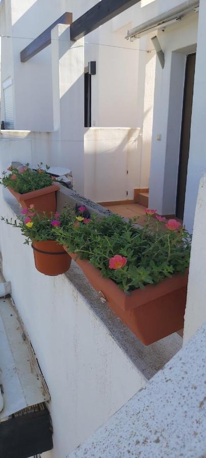 Condado De Alhama, Naranjos 8 Leilighet Alhama de Murcia Eksteriør bilde